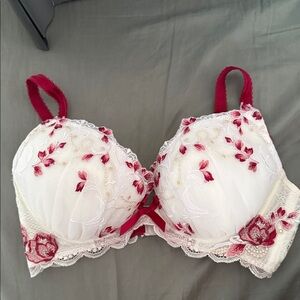 Elegant Embroidered Lace Bra - Red and Cream